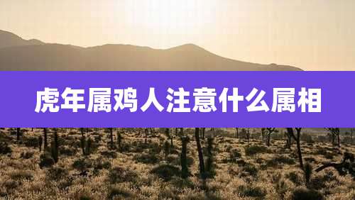 虎年属鸡人注意什么属相