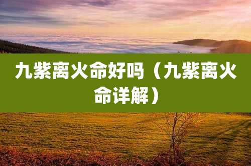 九紫离火命好吗（九紫离火命详解）