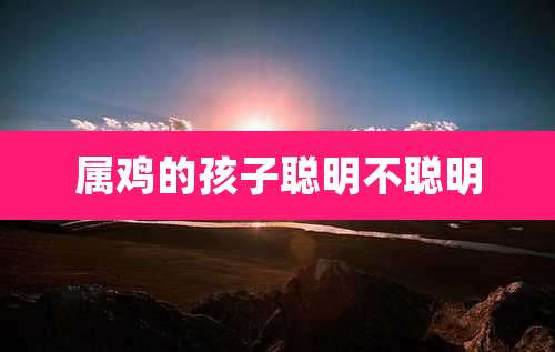 属鸡的孩子聪明不聪明