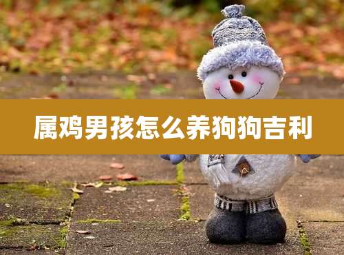 属鸡男孩怎么养狗狗吉利