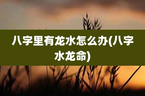 八字里有龙水怎么办(八字水龙命)