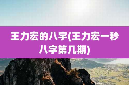 王力宏的八字(王力宏一秒八字第几期)