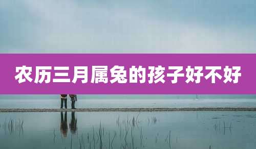 农历三月属兔的孩子好不好