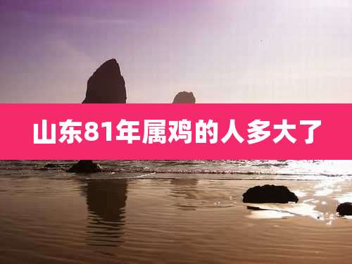山东81年属鸡的人多大了