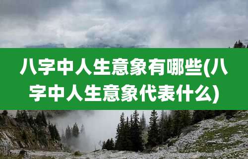 八字中人生意象有哪些(八字中人生意象代表什么)