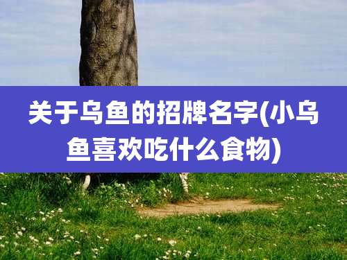关于乌鱼的招牌名字(小乌鱼喜欢吃什么食物)