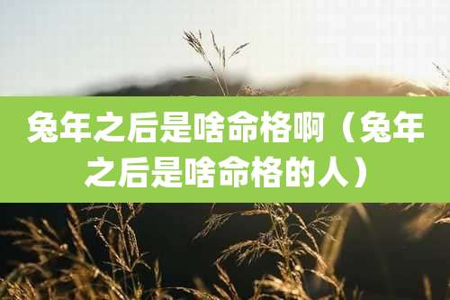 兔年之后是啥命格啊（兔年之后是啥命格的人）