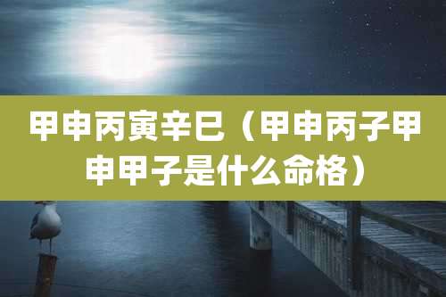 甲申丙寅辛巳（甲申丙子甲申甲子是什么命格）