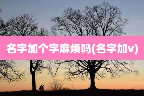 名字加个字麻烦吗(名字加v)