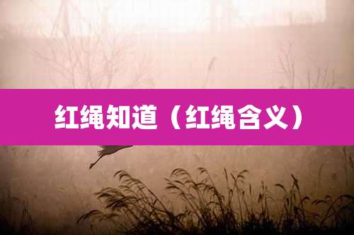 红绳知道（红绳含义）