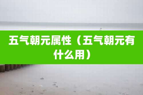 五气朝元属性（五气朝元有什么用）