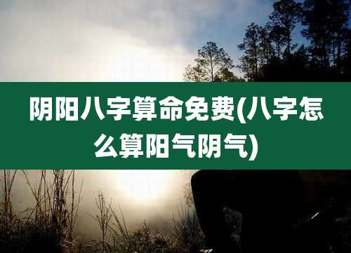 阴阳八字算命免费(八字怎么算阳气阴气)