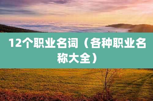 12个职业名词（各种职业名称大全）
