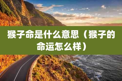 猴子命是什么意思（猴子的命运怎么样）