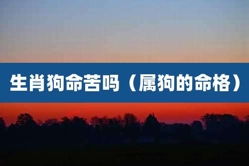 生肖狗命苦吗（属狗的命格）
