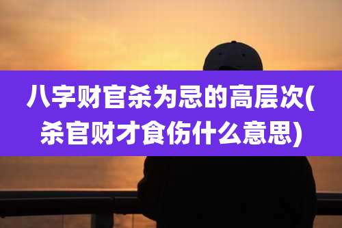 八字财官杀为忌的高层次(杀官财才食伤什么意思)