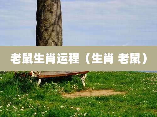 老鼠生肖运程（生肖 老鼠）