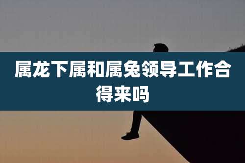 属龙下属和属兔领导工作合得来吗