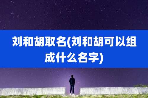刘和胡取名(刘和胡可以组成什么名字)