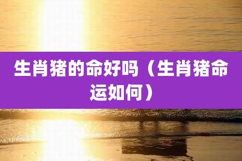 生肖猪的命好吗（生肖猪命运如何）