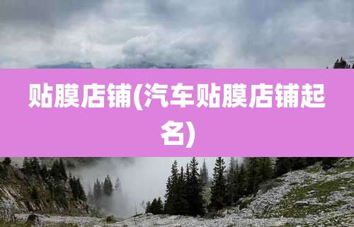 贴膜店铺(汽车贴膜店铺起名)