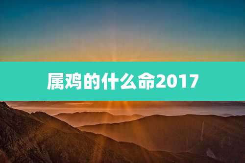 属鸡的什么命2017