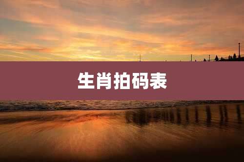 生肖拍码表