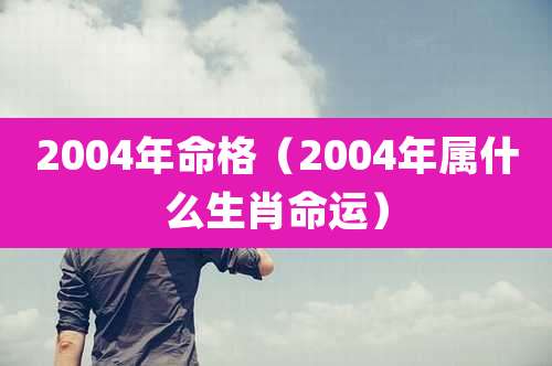 2004年命格（2004年属什么生肖命运）
