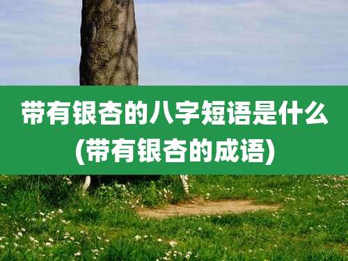 带有银杏的八字短语是什么(带有银杏的成语)