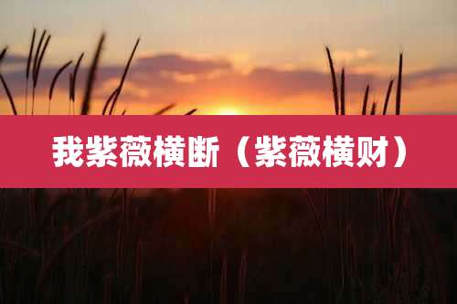 我紫薇横断（紫薇横财）