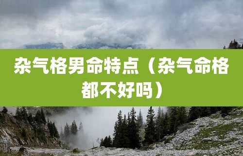 杂气格男命特点（杂气命格都不好吗）