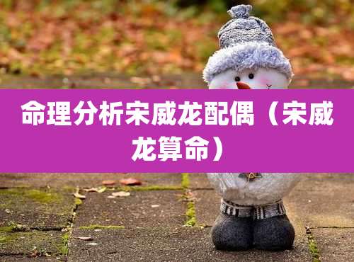 命理分析宋威龙配偶（宋威龙算命）