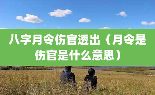 八字月令伤官透出（月令是伤官是什么意思）