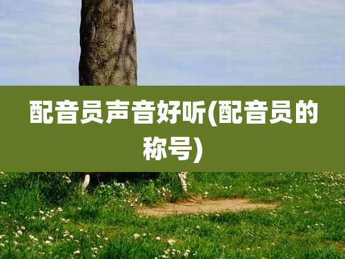 配音员声音好听(配音员的称号)