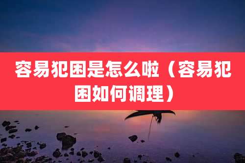 容易犯困是怎么啦（容易犯困如何调理）