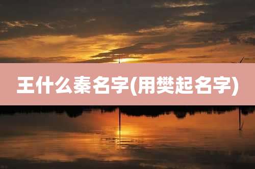 王什么秦名字(用樊起名字)