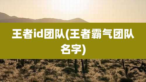王者id团队(王者霸气团队名字)