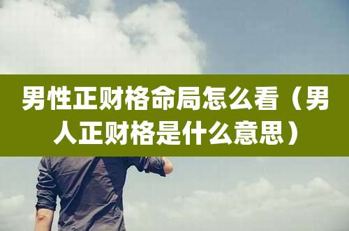 男性正财格命局怎么看（男人正财格是什么意思）