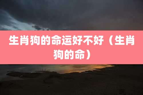 生肖狗的命运好不好（生肖狗的命）