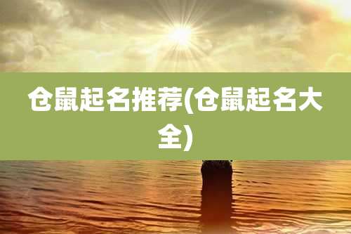 仓鼠起名推荐(仓鼠起名大全)