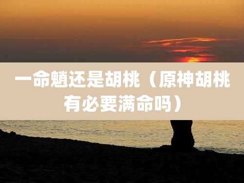 一命魈还是胡桃（原神胡桃有必要满命吗）