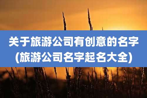 关于旅游公司有创意的名字(旅游公司名字起名大全)