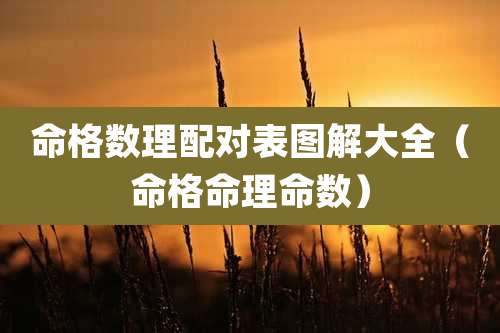 命格数理配对表图解大全（命格命理命数）