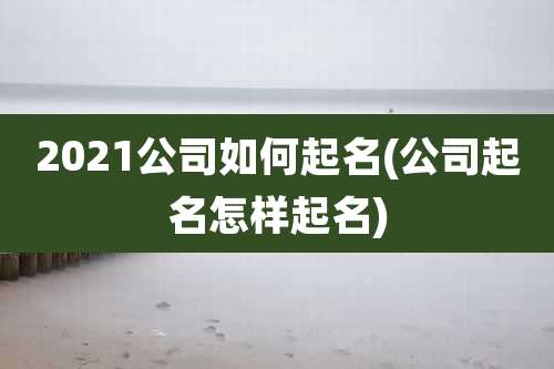 2021公司如何起名(公司起名怎样起名)