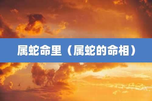 属蛇命里（属蛇的命相）