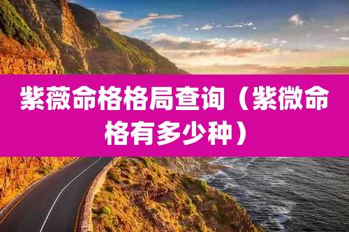 紫薇命格格局查询（紫微命格有多少种）