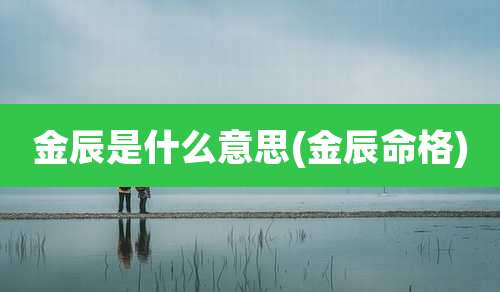 金辰是什么意思(金辰命格)