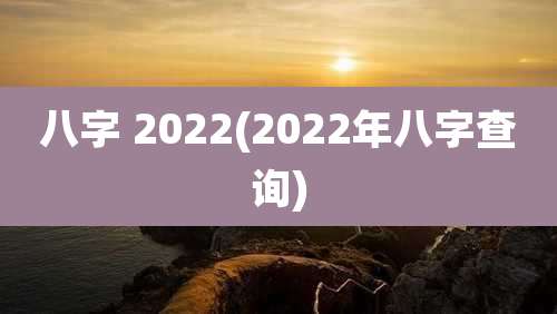 八字 2022(2022年八字查询)