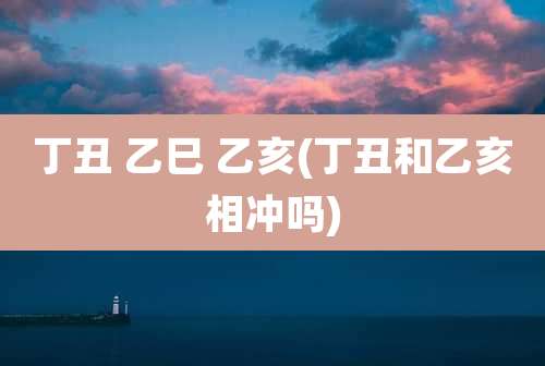 丁丑 乙巳 乙亥(丁丑和乙亥相冲吗)