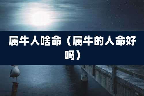 属牛人啥命（属牛的人命好吗）